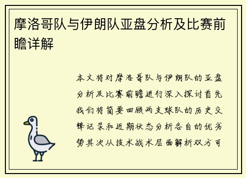 摩洛哥队与伊朗队亚盘分析及比赛前瞻详解